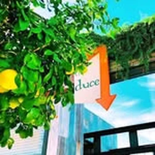 @theducephx profile image