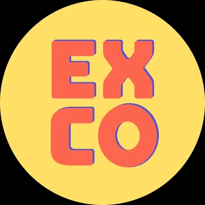 @theexperience.co profile image