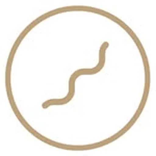 @theflowstudio profile image