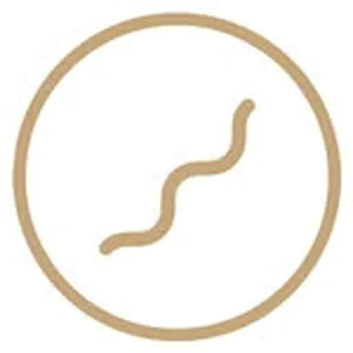 @theflowstudio_sg profile image