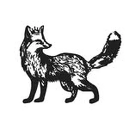@thefoxmercantile profile image