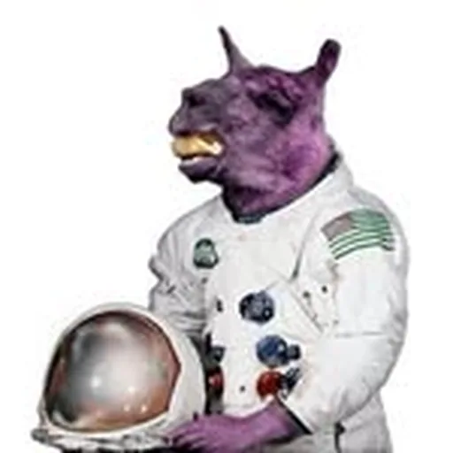 @thefunkyknuckles profile image
