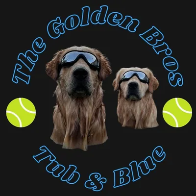 @thegoldenbros_t.b profile image