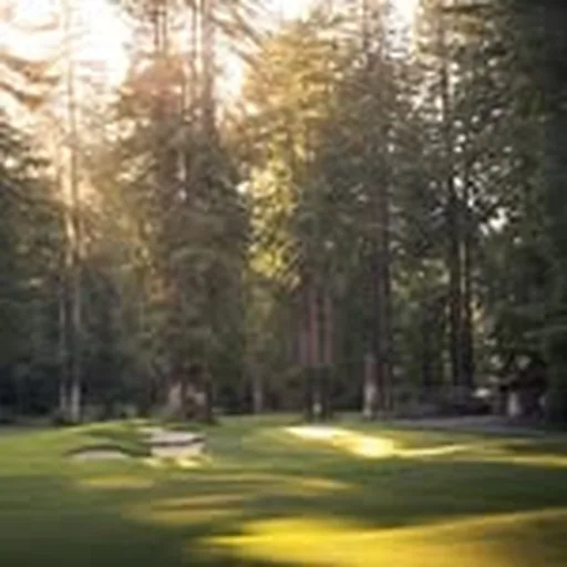 @thegolfhawk profile image
