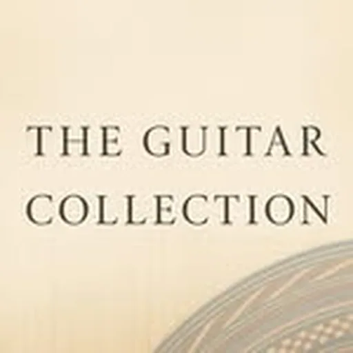 @theguitarcollection profile image