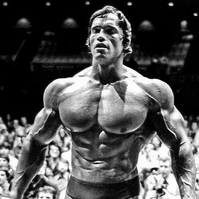 @thegymhighlights profile image