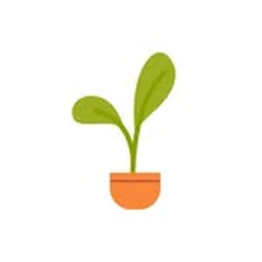 @thehealthyhome.shop profile image