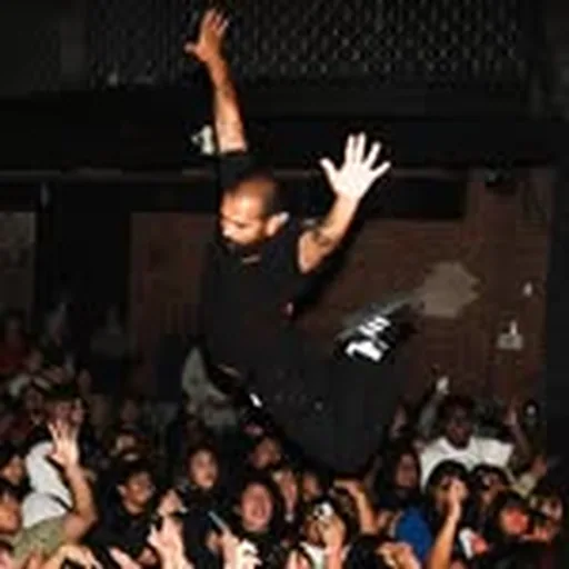@thehighcurbs profile image