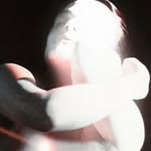 @thehorrors profile image