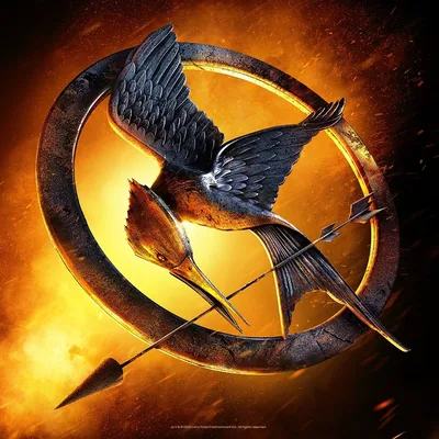 @thehungergamesonstage profile image