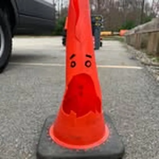 @theignoredmap profile image