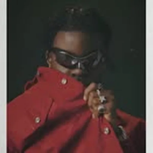 @thelavien profile image