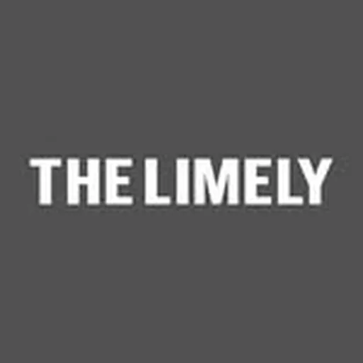 @thelimely profile image
