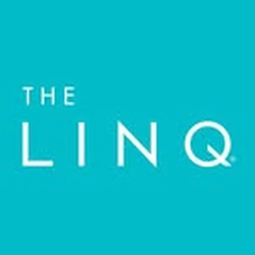 @thelinq profile image