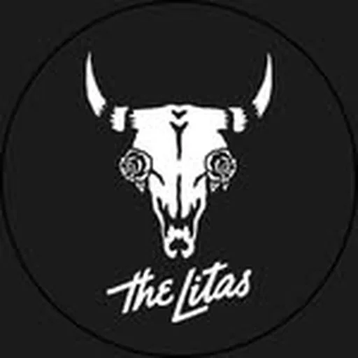 @thelitas profile image