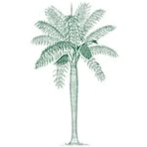 @thelittlemarketcharleston profile image