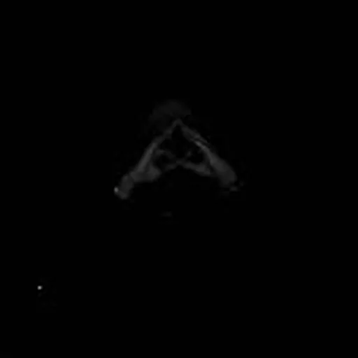 @thelunamic profile image