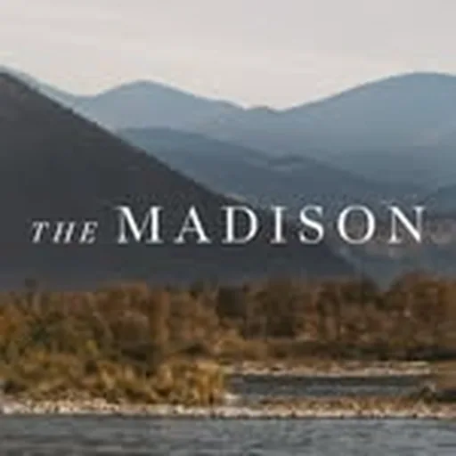 @themadisonpplus profile image