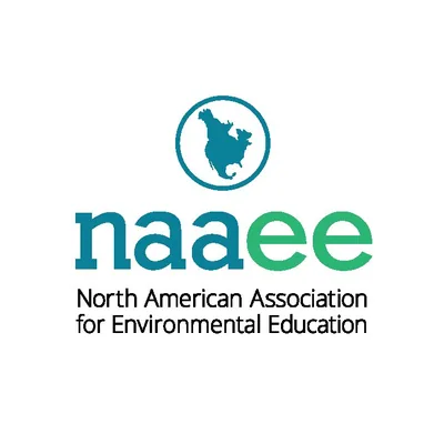@thenaaee profile image
