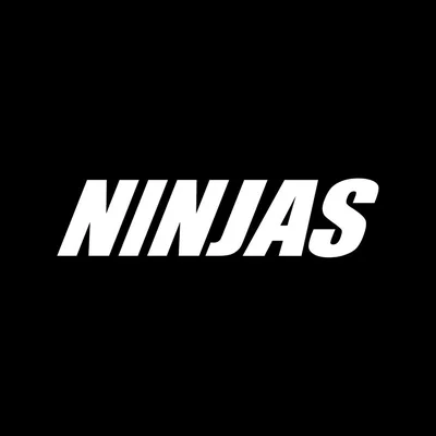 @theninjas profile image