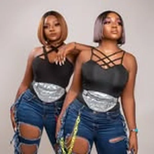 @theofficialgemstones profile image