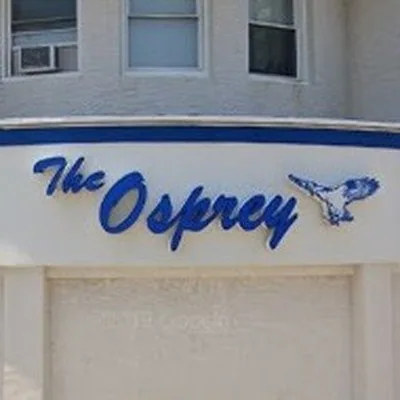 @theospreymanasquan profile image