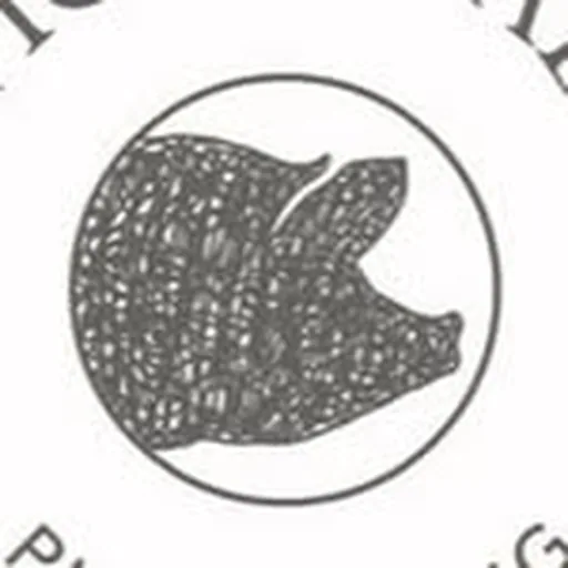 @thepigshead profile image