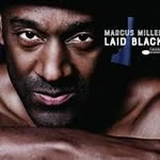 @therealmarcusmiller profile image