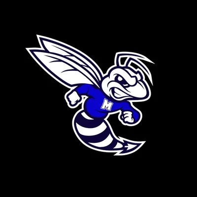 @therealmidwoodhs profile image