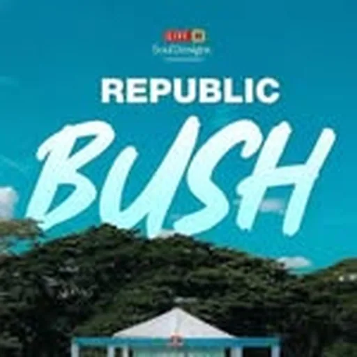 @therepublicbush profile image