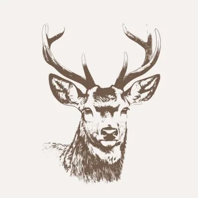 @theroamercompany profile image