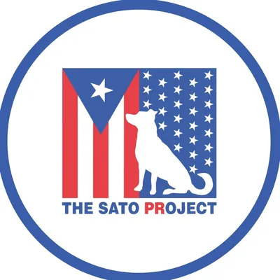 @thesatoproject profile image