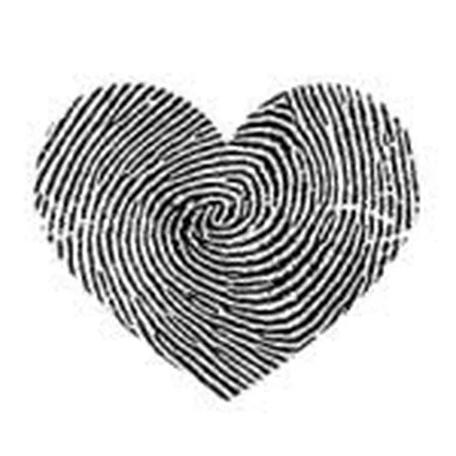 @thesebastianfdn profile image