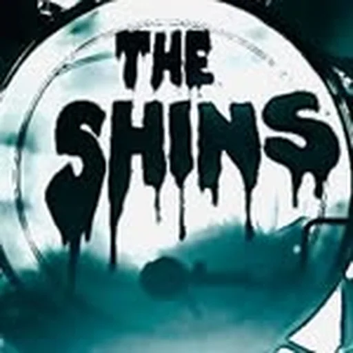 @theshins profile image