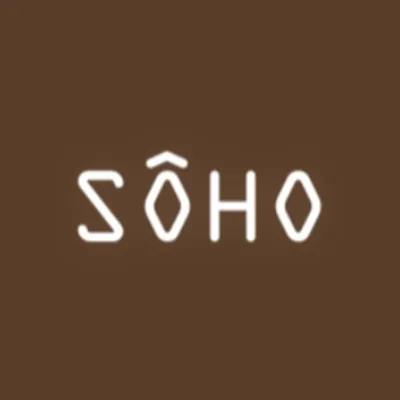 @thesoholist profile image