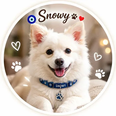 @thespitz_snowy profile image
