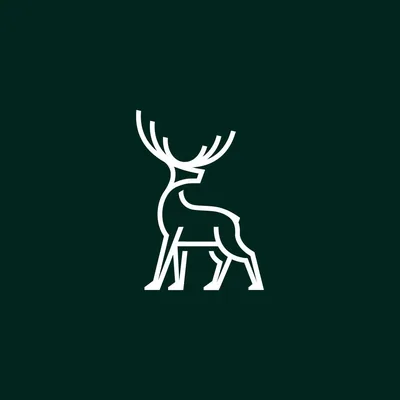 @thetorridon profile image