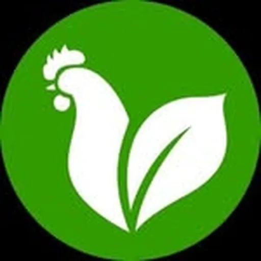 @thetransfarmationproject profile image