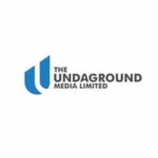 @theundagroundng profile image