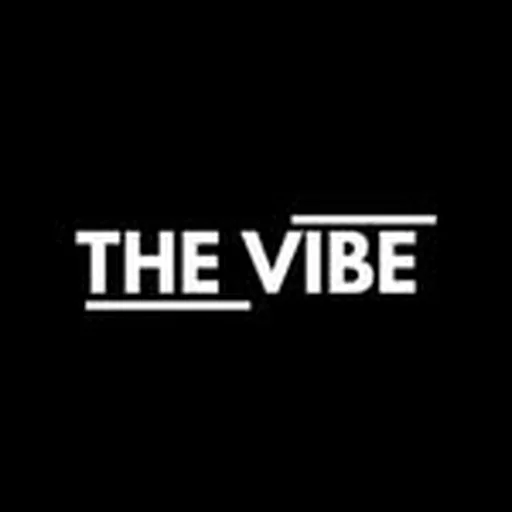 @thevibe.pk profile image