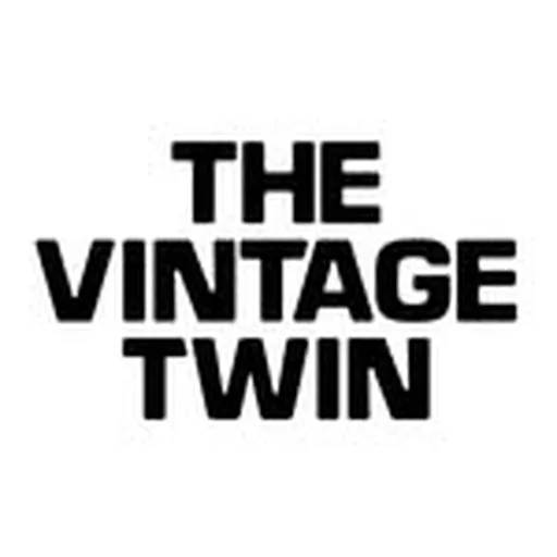 @thevintagetwin profile image
