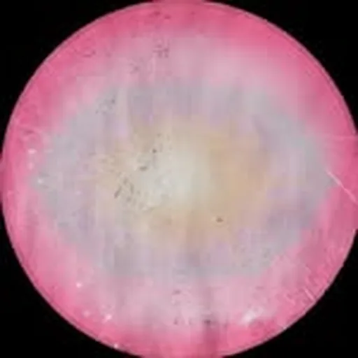 @thewavys profile image