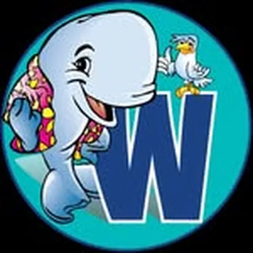 @thewhalefmb profile image
