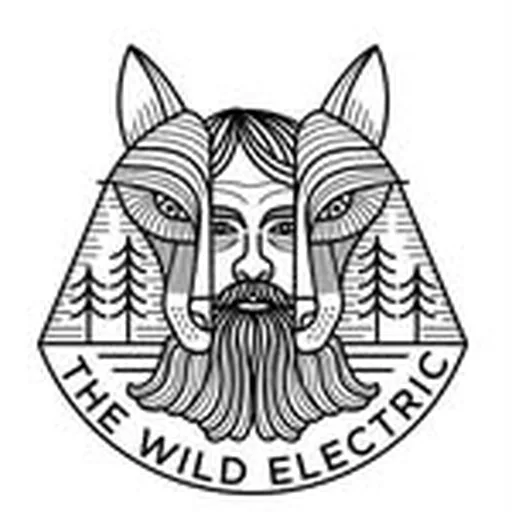 @thewildelectric profile image