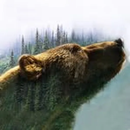 @thewildpod profile image