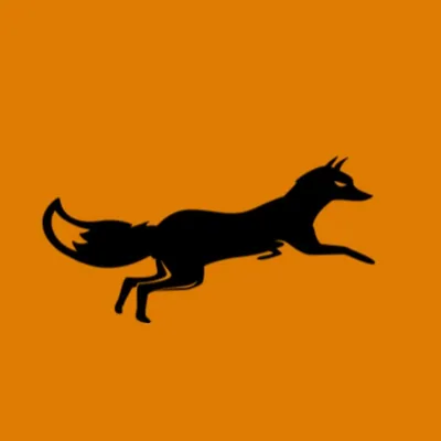 @thewileyfoxdublin profile image