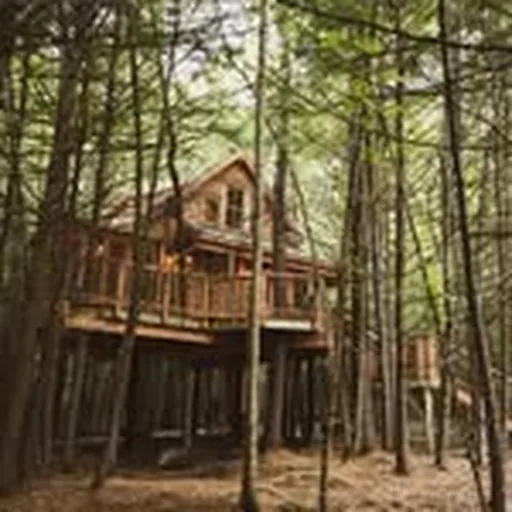 @thewoodsmaine profile image