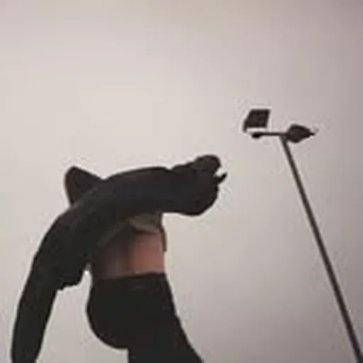 @thexcerts profile image