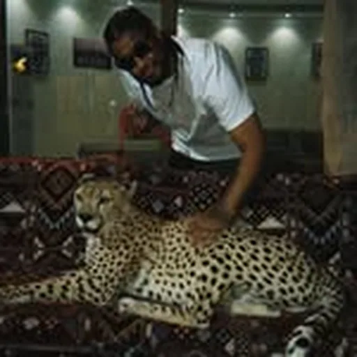 @thezookeepper profile image