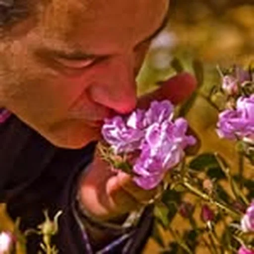 @thierrywasser profile image